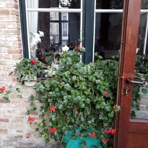 Meet your Posher, Sheila - Picture 11 of 16